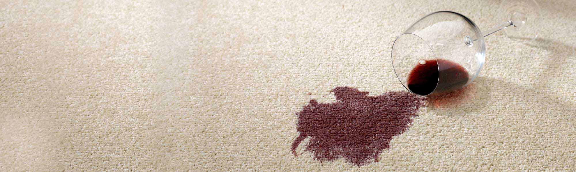 Treasure Coast Professional Stain Removal Service by Tropical Chem-Dry